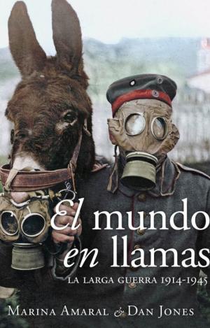 EL MUNDO EN LLAMAS