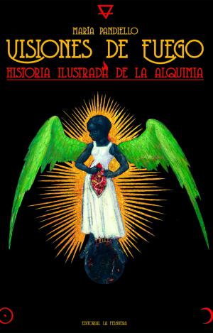 VISIONES DE FUEGO