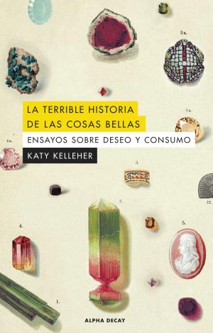 TERRIBLE HISTORIA DE LAS COSAS BELLAS,LA
