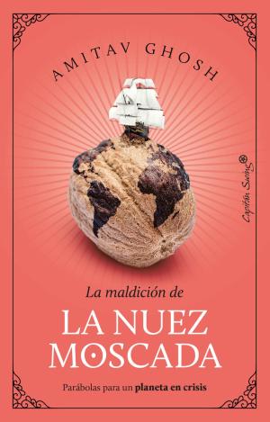 LA NUEZ MOSCADA