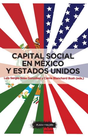 CAPITAL SOCIAL EN MEXICO Y ESTADOS UNIDOS