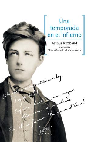 UNA TEMPORADA EN EL INFIERNO