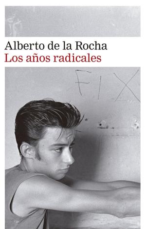 LOS AÑOS RADICALES