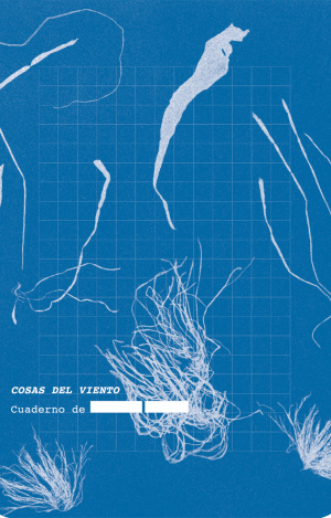 COSAS DEL VIENTO