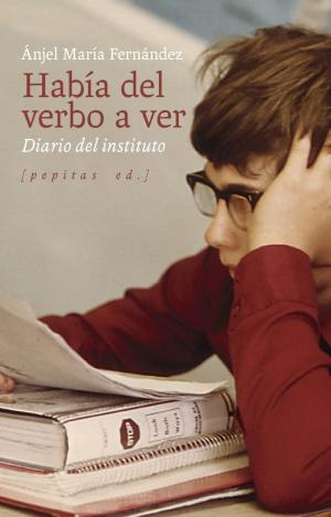 HABÍA DEL VERBO A VER