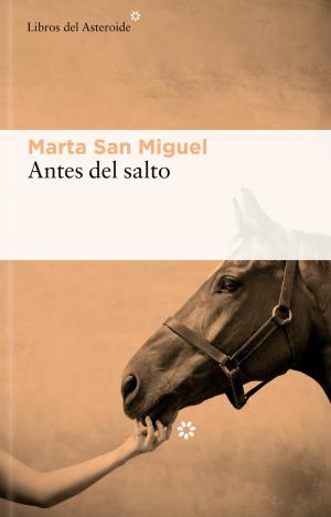 ANTES DEL SALTO