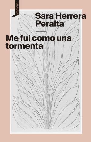 ME FUI COMO UNA TORMENTA