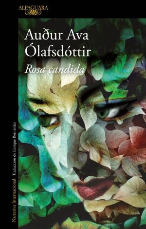 ROSA CANDIDA