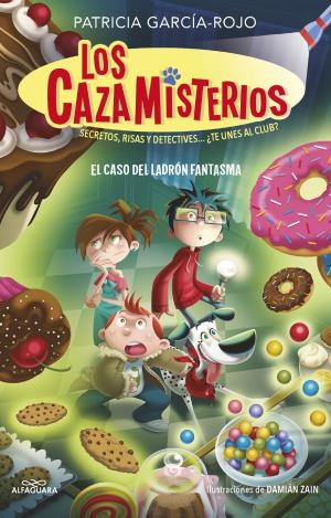 LOS CAZAMISTERIOS 2 - EL CASO DEL LADRON FANTASMA