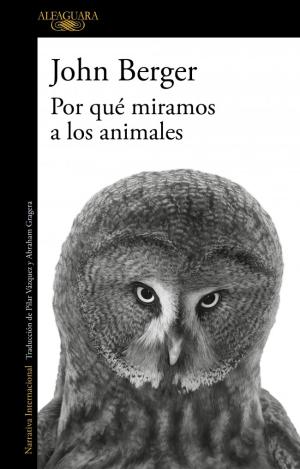 POR QUÉ MIRAMOS A LOS ANIMALES