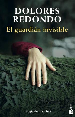 EL GUARDIÁN INVISIBLE
