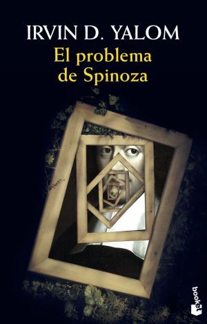 EL PROBLEMA DE SPINOZA