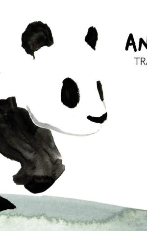 ANIMALIA