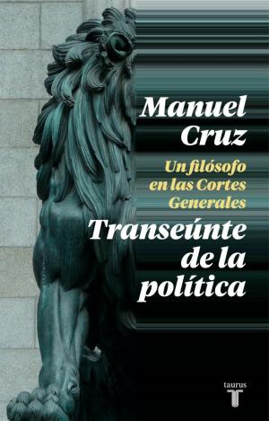 TRANSEUNTE DE LA POLITICA,EL