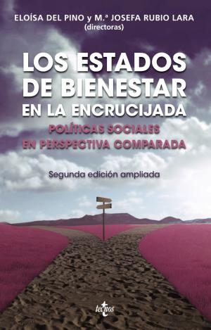 LOS ESTADOS DE BIENESTAR EN LA ENCRUCIJADA