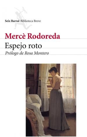 ESPEJO ROTO SEIX BARRAL