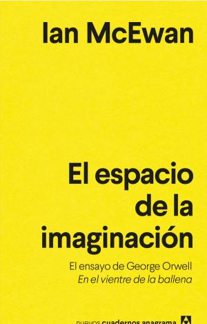 EL ESPACIO DE LA IMAGINACIÓN