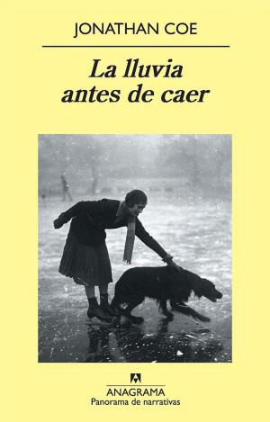 LA LLUVIA ANTES DE CAER