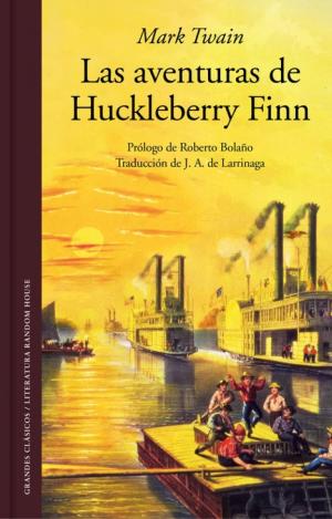LAS AVENTURAS DE HUCKLEBERRY FINN