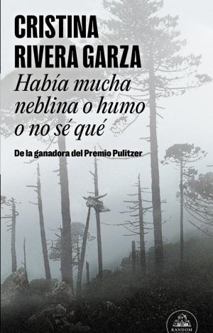 HABÍA MUCHA NEBLINA O HUMO O NO SÉ QUÉ (MAPA DE LAS LENGUAS)