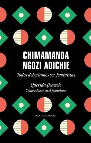 TODOS DEBERÍAMOS SER FEMINISTAS Y COMO EDUCAR EN EL FEMINISMO