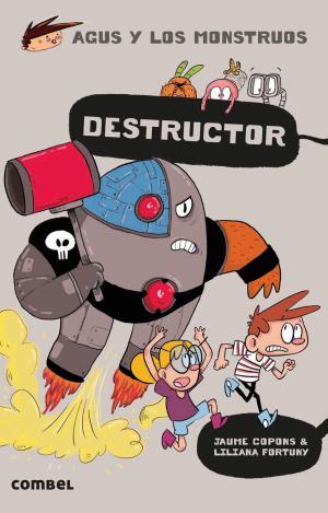 DESTRUCTOR