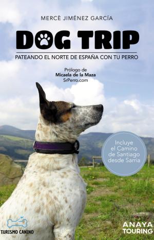 DOG TRIP - PATEANDO EL NORTE DE ESPAÑA CON TU PERRO