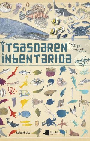 ITSASOAREN INBENTARIOA IRUDIDUNA
