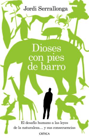 DIOSES CON PIES DE BARRO