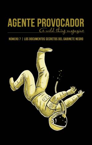 AGENTE PROVOCADOR Nº7