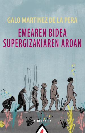 EMEAREN BIDEA SUPERGIZAKIAREN AROAN