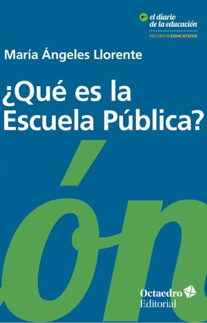 ¿QUÉ ES LA ESCUELA PÚBLICA?