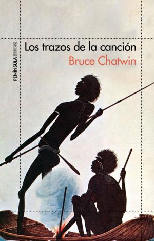 LOS TRAZOS DE LA CANCIÓN