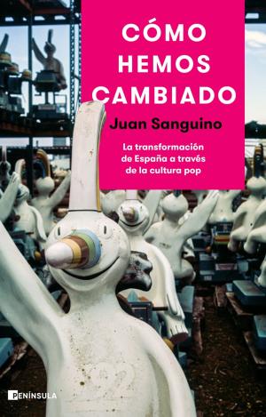 CÓMO HEMOS CAMBIADO